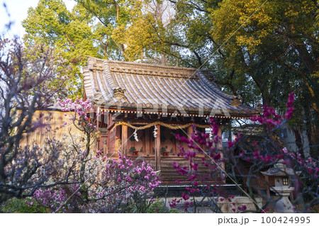 道明寺天満宮　元宮・土師社　本殿 100424995
