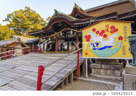道明寺天満宮 拝殿 梅まつりの季節(大阪府藤井寺市) 道明寺天満宮 拝殿 梅まつりの季節(大阪府藤井寺市) 100425013