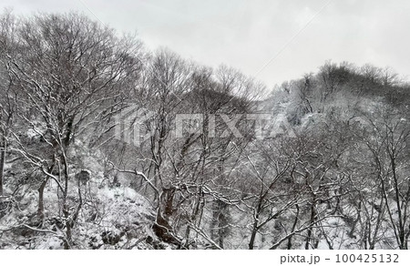冬の雪山 冬の雪山 100425132