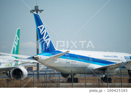 【京浜島つばさ公園からのANA機】 100425165