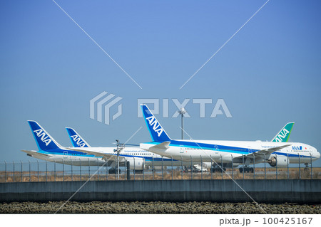 【京浜島つばさ公園からのANA機】 100425167