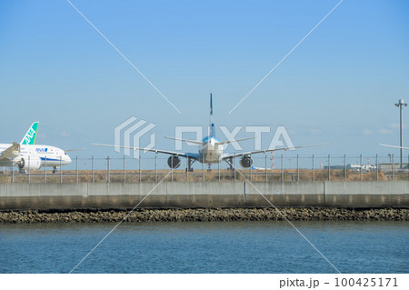 【京浜島つばさ公園からのANA機】 100425171