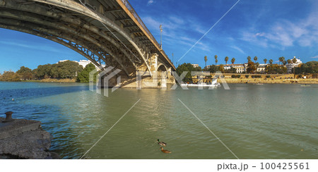 Triana Bridge, Guadalquivir River View, Sevilla, Spain Triana Bridge, Guadalquivir River View, Sevilla, Spain 100425561