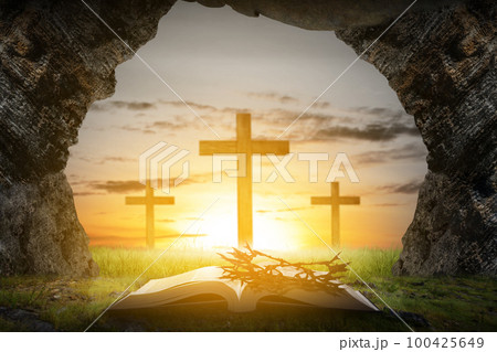 Palm Sunday 100425649