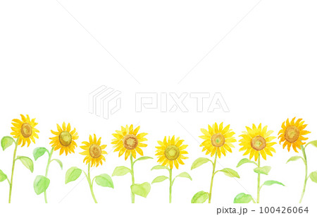 水彩絵の具で描いたひまわりの花背景 100426064