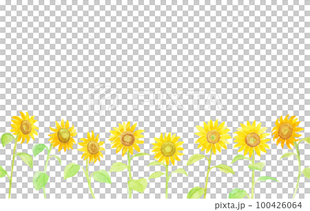 Sunflower flower background painted with watercolors 100426064