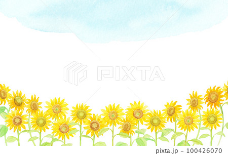 水彩絵の具で描いたひまわりの花背景 100426070