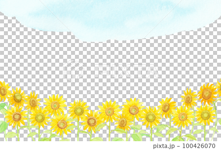 Sunflower flower background painted with watercolors 100426070