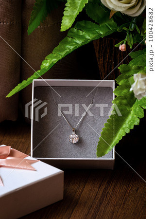 A Beautiful Diamond Pendant with a Simple Platinum Necklace in a Gift Box A Beautiful Diamond Pendant with a Simple Platinum Necklace in a Gift Box 100428682