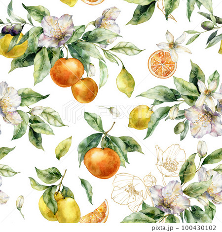 Watercolor tropical seamless pattern of gold linear flowers, lemons, oranges and leaves. Hand painted branch of fruits isolated on white background. Food illustration for design, print, background. 100430102