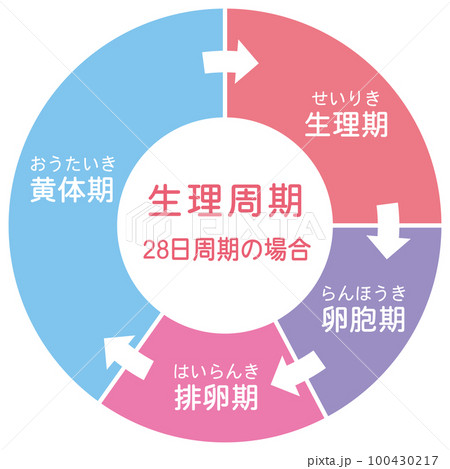 生理周期 月経 周期 円グラフ 生理周期 月経 周期 円グラフ 100430217