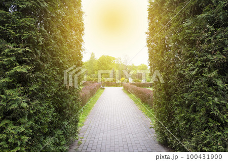 Path in the city park. City park in spring time 100431900
