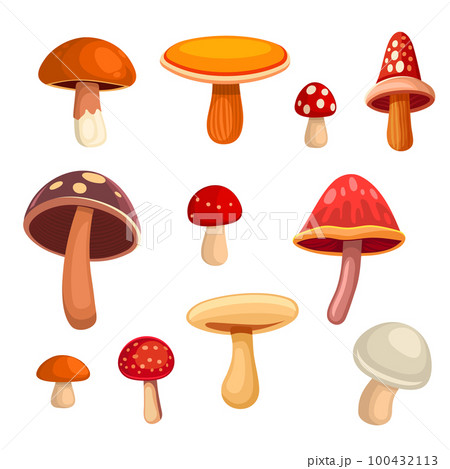 Cartoon Style Mushrooms Set on White Background. Vector 100432113