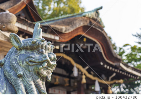 道明寺天満宮 狛犬 拝殿(大阪府藤井寺市) 道明寺天満宮 狛犬 拝殿(大阪府藤井寺市) 100432780