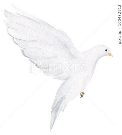 Watercolor white dove. Hand drawn watercolor illustration. decorative design elements. Watercolor white dove. Hand drawn watercolor illustration. decorative design elements. 100432912