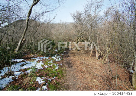 低山 早春の広葉樹の様子 新芽は未だ 多紀連山 丹波篠山市 3月上旬 低山 早春の広葉樹の様子 新芽は未だ 多紀連山 丹波篠山市 3月上旬 100434453