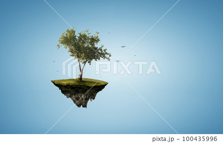 Image of tree and landscape 100435996
