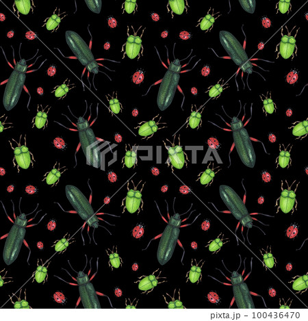Seamless pattern realistic beetles insect isolated on white background. Watercolor hand drawn animal bugs llustration 100436470