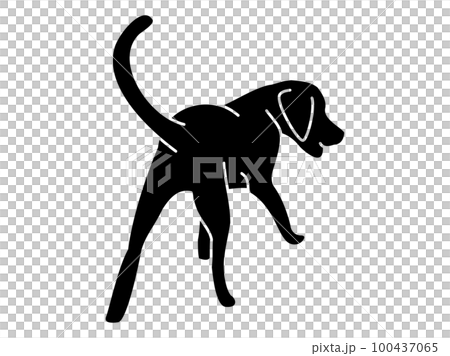 Silhouette of a Labrador Retriever walking away from behind (black) 100437065