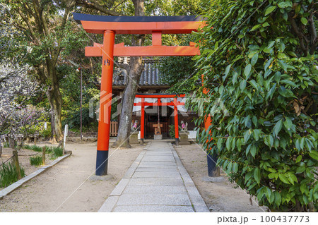 道明寺天満宮 和合稲荷社 道明寺天満宮 和合稲荷社 100437773