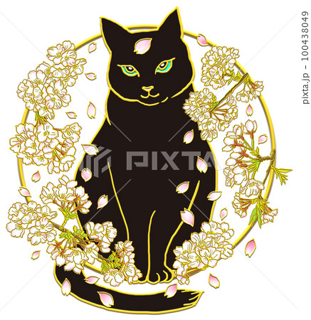 桜の花と猫_正面向_黒猫_背景透過 桜の花と猫_正面向_黒猫_背景透過 100438049