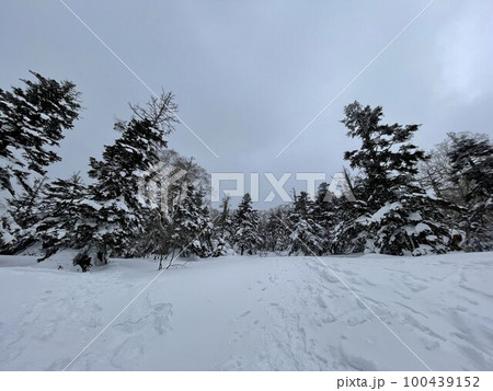 2023年2月の福島県のアルツ磐梯スキー場のゲレンデトップ 100439152