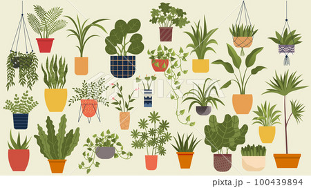 Plant in pot vector flowerpots set. Cartoon flat different indoor potted decorative houseplants Plant in pot vector flowerpots set. Cartoon flat different indoor potted decorative houseplants 100439894