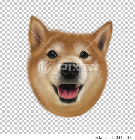Realistic Shiba Inu head portrait 100441132