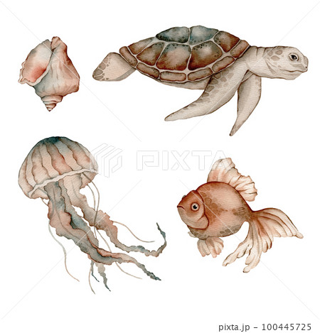 Set of sea animals poster. Blue, greeen, brown watercolor ocean jellyfish, medusa, fish aquarium, shell. Nautical wildlife marine illustration 100445725