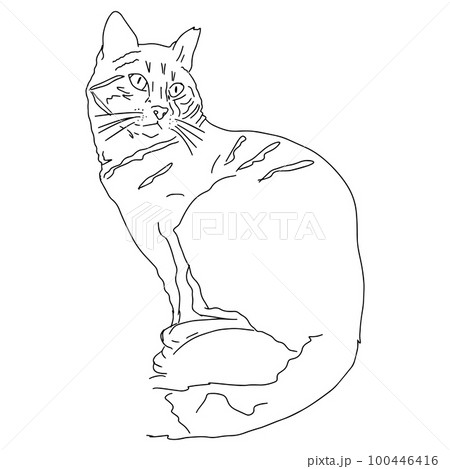 Pin by Julia Hanna on Whimsy  Cat tattoo designs Cats art drawing Cat  design art