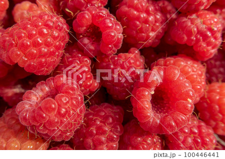 Berry Background. Fresh raspberries. Close-up. Healthy dessert 100446441