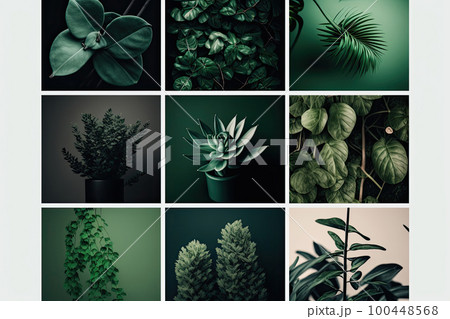 Set of trendy aesthetic photo collages. Illustration AI Generative Set of trendy aesthetic photo collages. Illustration AI Generative 100448568