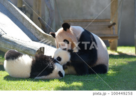 娘と遊ぶ良浜ママ 100449258