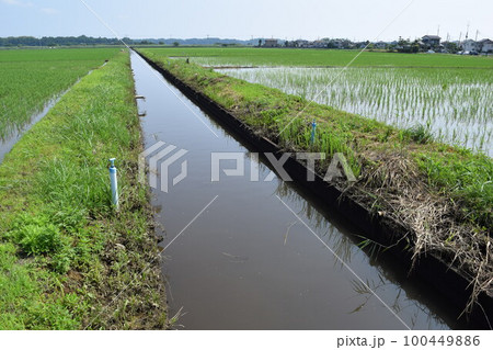 農業用水路兼排水路 茨城県 農業用水路兼排水路 茨城県 100449886
