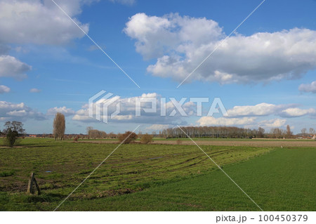 A colorful seasonal wide angle view on a Flanders, Belgium landscape with blue sky and green grassland A colorful seasonal wide angle view on a Flanders, Belgium landscape with blue sky and green grassland 100450379