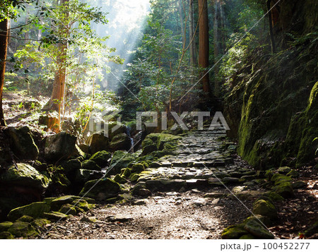 光芒が射し込む渓流の風景 100452277