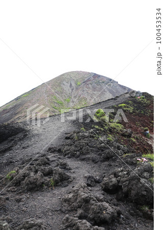 美しい馬の背の先に見える高千穂峰 100453534