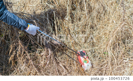 環境保護活動　ごみ拾い 100453726