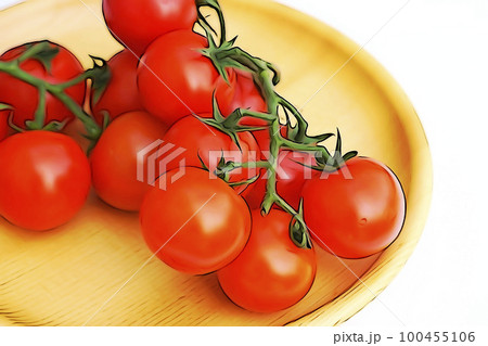 パステル調 ”枝付きミニトマト” イラストイメージ パステル調 ”枝付きミニトマト” イラストイメージ 100455106