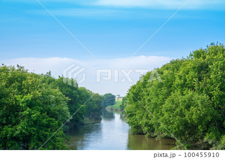 渡良瀬遊水地　思い出橋からの眺め　初夏の風景　　　 100455910