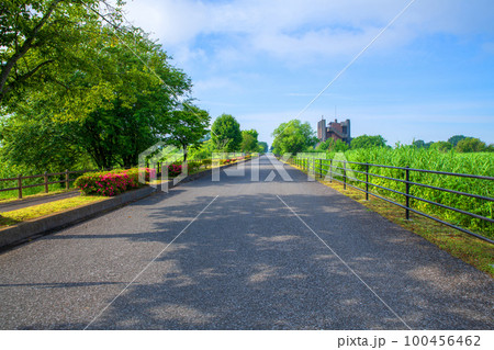渡良瀬遊水地　北中央ゲイト付近の眺め　初夏の風景　　　 100456462