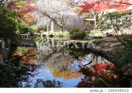 ひっそりと色づいた浴恩館の紅葉 ひっそりと色づいた浴恩館の紅葉 100456910