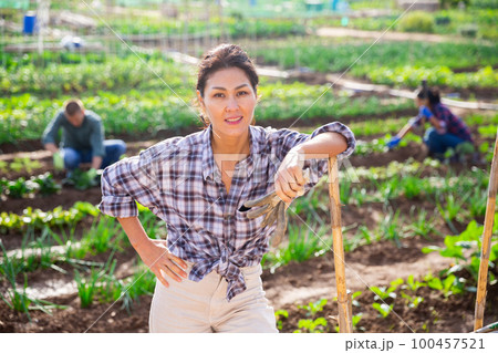 Asian woman working with shovel in vegetables garden outdoor Asian woman working with shovel in vegetables garden outdoor 100457521
