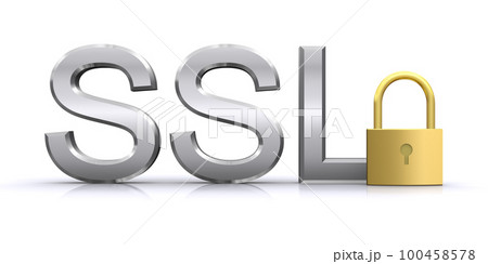 SSLと鍵、SSLのセキュリティイメージ 100458578