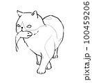 A stray cat walks with a fish in its mouth. 100459206