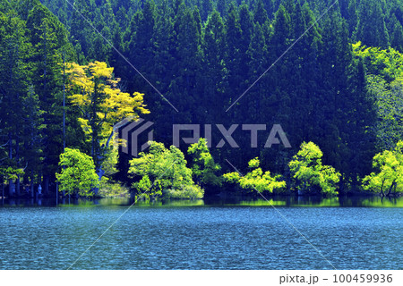 北竜湖 北竜湖 100459936