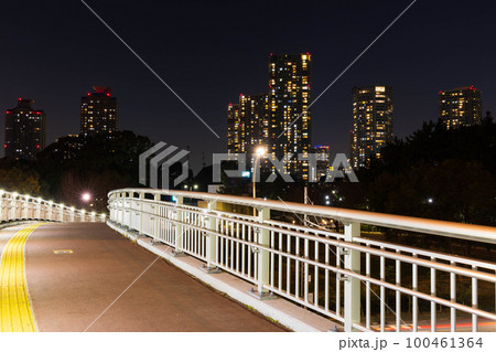 東京夜景 辰巳の森歩道橋 東京夜景 辰巳の森歩道橋 100461364