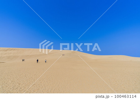 《鳥取県》鳥取砂丘（天然記念物） 100463114