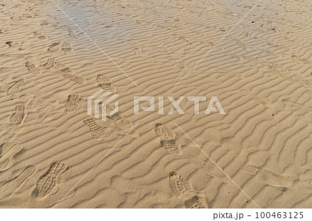 《鳥取県》鳥取砂丘（天然記念物） 100463125