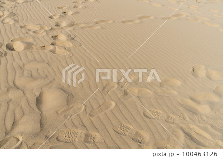 《鳥取県》鳥取砂丘(天然記念物) 《鳥取県》鳥取砂丘(天然記念物) 100463126